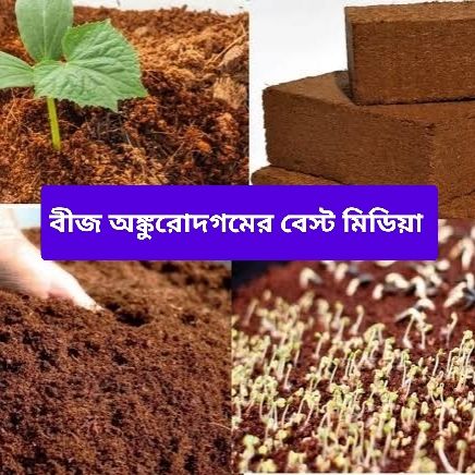 Cocopeat Natural fertilizer for germination and gardening use 500gm