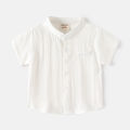 Short Sleeve Polo Shirt for Children Casual Mandarin Collar Solid Color Cotton-Linen Blend Thin Summer Kids Shirts Boys. 