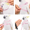 Parrot Flying Harness Leash Suit Macaw Accessories Stuff For Budgie Pet Bird Outdoor Flight Training Rope Cockatiel Supplies NEW. 
