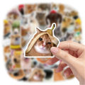 50PCS Cute Dog Cat MEME Funny Animals Stickers Kawaii Cartoon Decals Skateboard Notebook Luggage Phone Car Sticker Toy. 