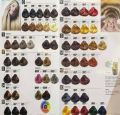bremod hair color tube with developer Bremod hair color all shades. 