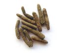 long pepper/filfil draz/ magha / 100 % natural/ 50 GM   فلفل دراز / مگھاں. 