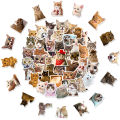 50Pcs Funny Cat Stickers Adorable, Kawaii and Colorful Decals Perfect for Water Bottles, Laptops and phone. 