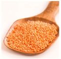 Premium quality deshi moshur dal - (1 kg ). 