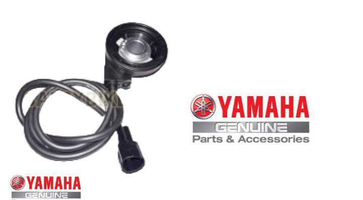 FZ Meter Sensor Worm Assy