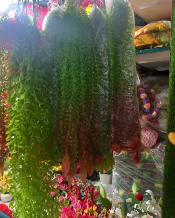 Artificial%20Lota%20or%20creeper%201%20pieces%20green%20red%20mix%20colour%20with%20hanger%20free%20unique%20model%20for%20room%20and%20wall%20decorations.%20-%20Image%205