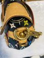 louis vuitton bag. 