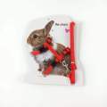 Rabbit Harness and Leash Adjustable Nylon ~ Kitten adult Belt Collar with lead. 