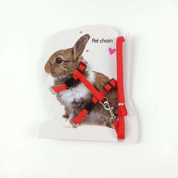 Rabbit%20Harness%20and%20Leash%20Adjustable%20Nylon%20~%20Kitten%20adult%20Belt%20Collar%20with%20lead%20-%20Image%202