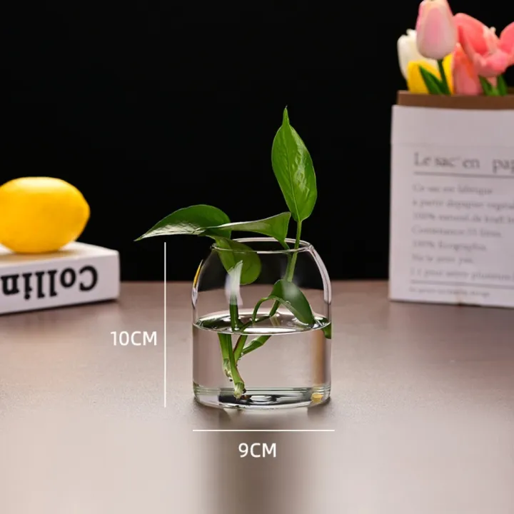 Simple%20Modern%20Glass%20Flower%20Vase%20Home%20Decoration%20Hydroponic%20Plant%20Bottle%20Desktop%20Decoration%20for%20Wedding%20Reception%20Family%20-%20Image%207
