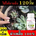 (200 tablets) treatment of aphids, all kinds of aphids, kill aphids, do not hurt plants, improve soil, insect control red mites, thrips, cold aphids, aphids in the Rose.. 