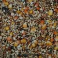 Pigeon feed 1kg. 