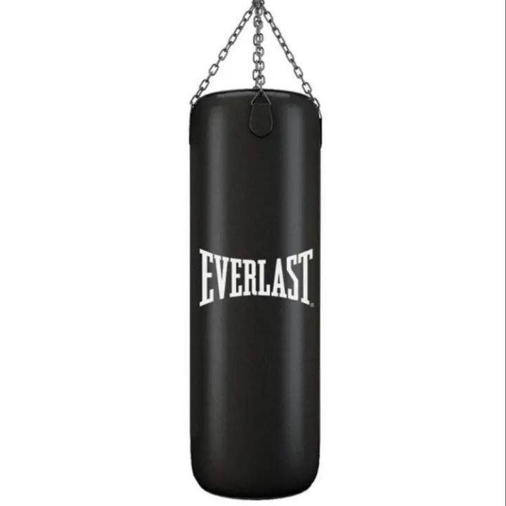 Everlast Punching bag high quality