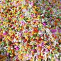 250g al.fajr multicolor sweet fennel meethi sonf al.fajr_foods. 
