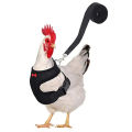 Pet Adjustable Harness Leash for Chicken Puppy Comfortable Breathable Pet Vest for Small Dogs Duck Goose Training Accessories. 