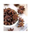Star Anise(Badiyan k Phool)100gm(premium quality of A&AA). 