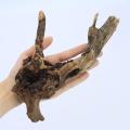 1pc Small Natural Driftwood for Aquarium Styling Carefully Selected Natural Aquarium Decor Driftwood, Reptile Tank Wood Decor. 