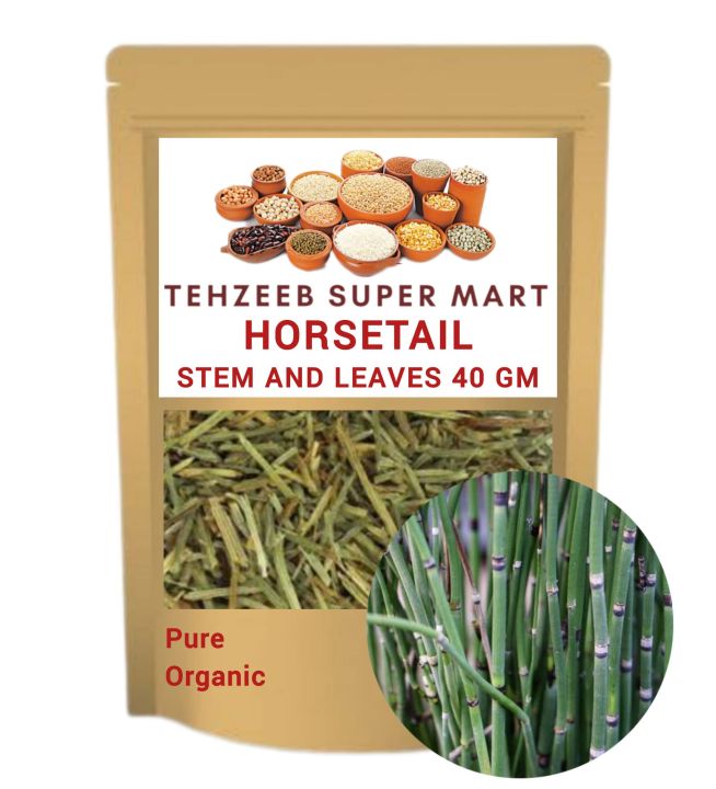 Horsetail Herb | Organic Horse Tail | Dry HorseTail | 40 GM