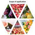 GY-2/GY-3 Pointer Fruit Hardness Tester Fruit Penetrometer Oranges s Pears Grapes Fruit Sclerometer Testing. 