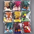 Dried Flowers For Resin UV Resin Filling DIY Epoxy Resin Mold Pendant Jewelry Decorative Pressed Flower Art Floral Decors. 