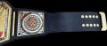 Undisputed Championship Title Belt Replica, World Heavyweight Wrestling Championship Title Belt - Adult Size -. 