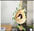 One Hanging Bird Nest with two birds & plant for home and garden decor. Babui Pakhir Bas....