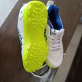DSC CRICKET SHOE. 