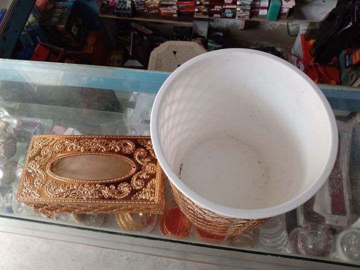 steel golden dustbeen and tissue paper box