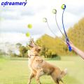 CDY Tennis Ball Launcher Stick - Interactive Outdoor Dog Training Toy, Durable Ball Thrower for Canine Exercise and Play Trainin. 