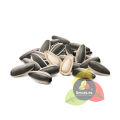 Premium Sunflower Seeds (Suraj Mukhi Beej) 95g – Organic & Fresh Whole Edible Seeds / Tukhm-e-Aftab for Snacking & Baking. 