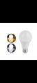12Watts LED Bulb, Holder type E27 Screw type. 