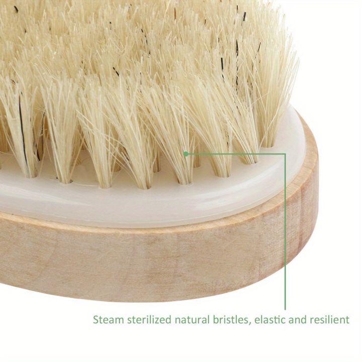 Natural%20Bristle%20Body%20SPA%20Brush%20for%20Wet%20and%20Dry%20Skin,%20Soft%20Bath%20Massager%20for%20Home%20Use%20-%20Image%207