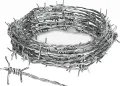 Barbed Wire - 50ft. 