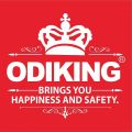 timing chain odiking model CD 70. 