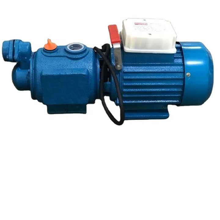 Jet Water Pump Motor 1 Hp Super Suction