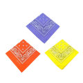 1-3pcs Bohemian Print Bandana Paisley Pattern Headbands Hiphop Kerchief Outdoor Unisex Headband Wrist Wraps Mask Handkerchief.