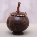 Handmade Berry Keeper Coconut Shell Decorative Box Room decoring.