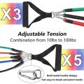 11 Pcs Power Resistance Band Set for Workout & Exercise | Resistance Bands for Men & Women | Resistance Band for Pull Up | Fitness Resistance Bands Set for Home Gym | Latex Exercise Bands for Full Body Training. 
