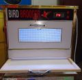 Bird Brooder Best for  Parrot 20 To 25 Automatic temperature with heat and cool system. 