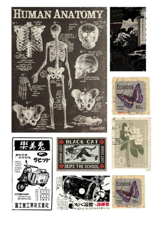 Dark%20Aesthatic%20Sticker%20set,%20vintage%20stickers,%20Depressing%20dark%20sicker,%20Sticker%20for%20mobile,%20sticker%20fir%20laptop,%20cool%20stickers,%20goth%20stickers%20-%20Image%203