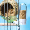 Hanging Pet Feeder Squirrel Parrot Water Dispenser Pet Bird Food Box Cage Accessories Birds Supplies. 