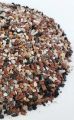 Excellent Pigeon Grit 2.5kg For All Type Racer pigeon Grit Fancy Pigeon Grit High Flying Pigeon Grit. 