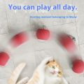 Cat Interactive Ball Toys Automatic Rolling Ball For Kitten Rechargeable Smart Pet Electric Toys With Teaser Sensor Cat Ball Toy.