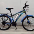 Royal bicycle 24 inch size. 