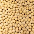 Soya bean (1000 gram) 1 Kg. 