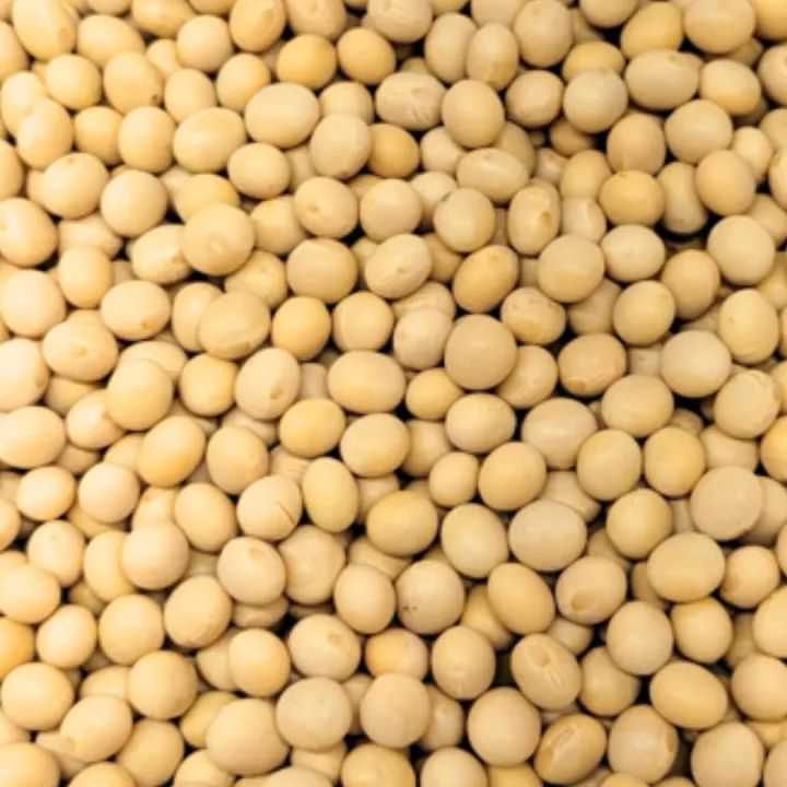 Soya%20bean%20(1000%20gram)%201%20Kg%20-%20Image%203
