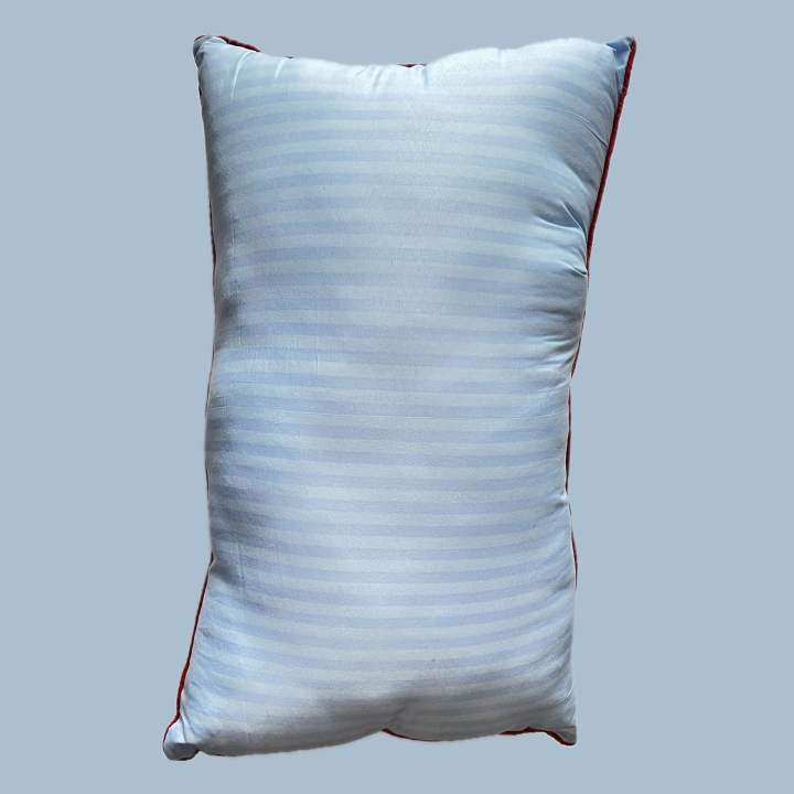Blue%20&%20White%20Color%20Inside%20Synthetic%20Fiber%20Plain%20Pillow%201000%20G%20-%20Image%203