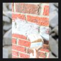 3KG Chuna Stone Lime Stone White lime for whitewash at home. 