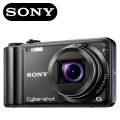 Sony Cyber-shot DSC-H55 Digital Camera with 10x Optical Zoom. 