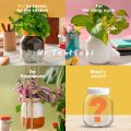 Used 300ml empty nutella glass jar 6pcs.Can use as a storage jar!. 